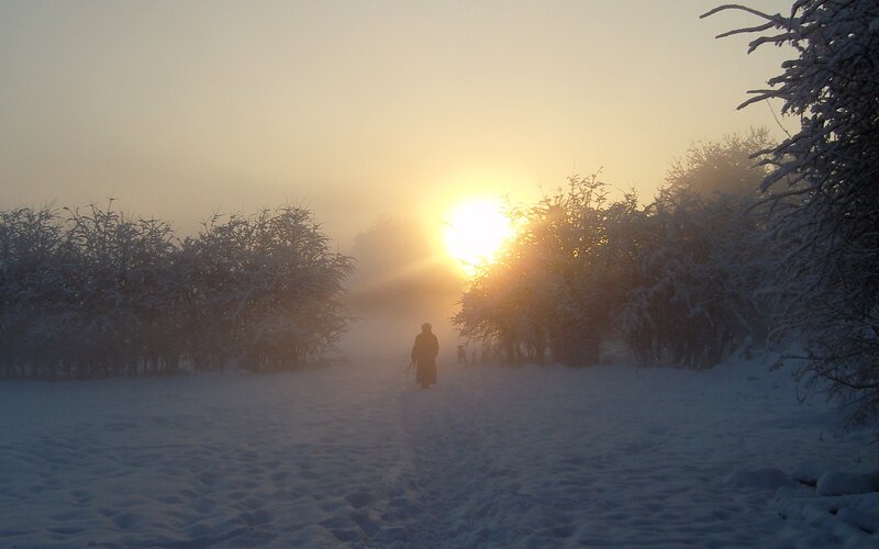 Person Walking in Snow — White, Serene