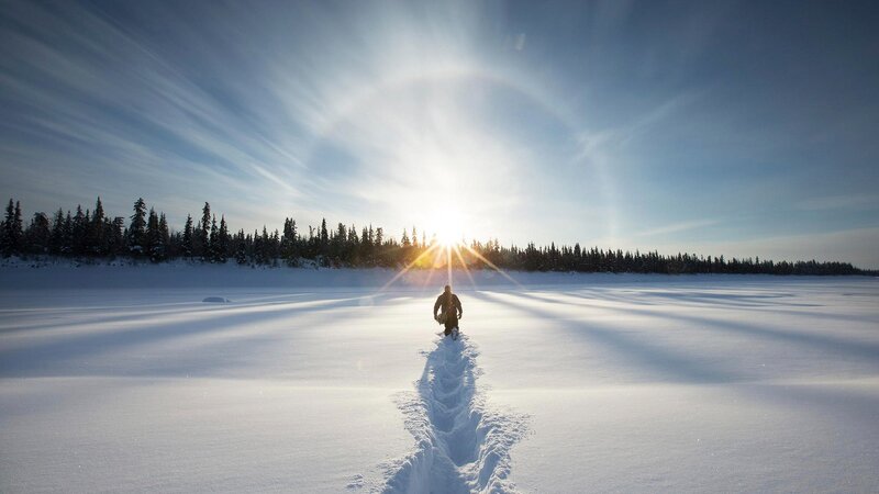 Person Walking in Snow — White, Serene, Winter, Photograph, Forest
