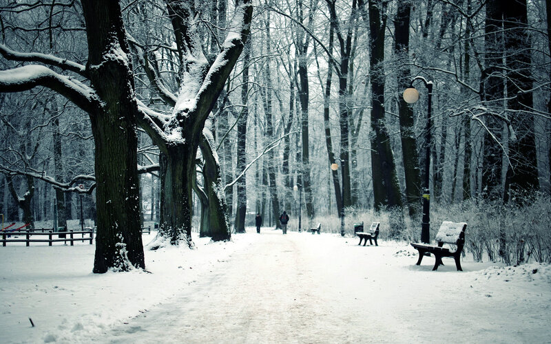 Person Walking in Snow — White, Serene, Winter, Photograph, Trees, Benches