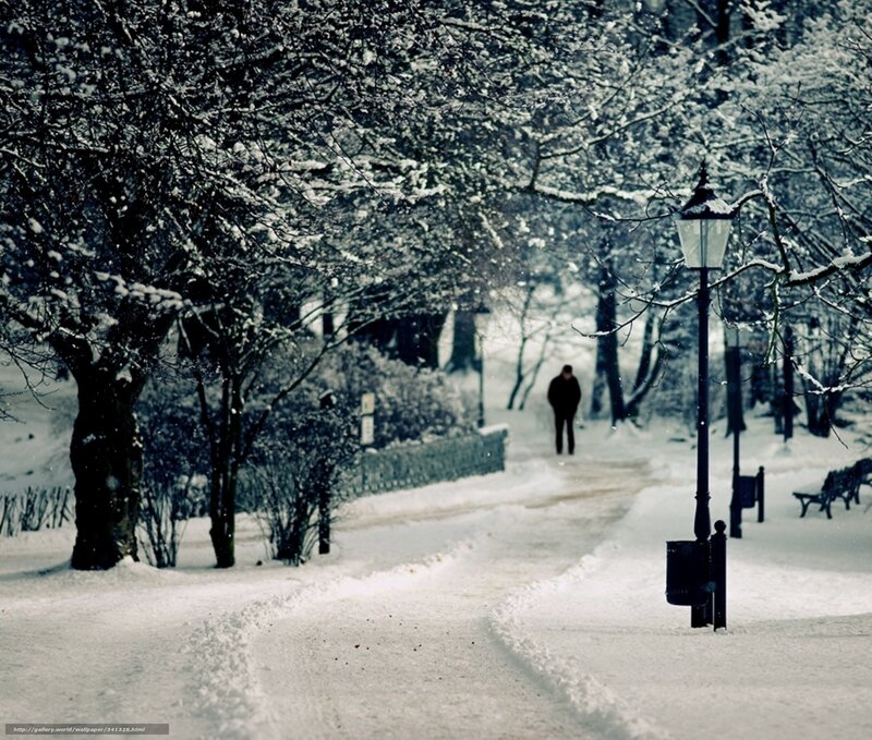 Person Walking in Snow — White, Serene, Winter, Photograph, Trees, Lamppost