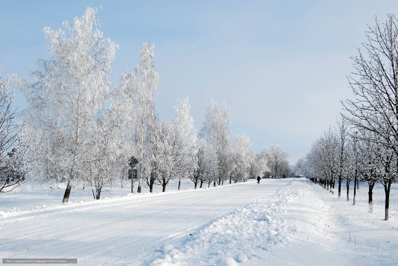 Person Walking in Snow — White, Serene, Winter, Photograph, Trees, Road
