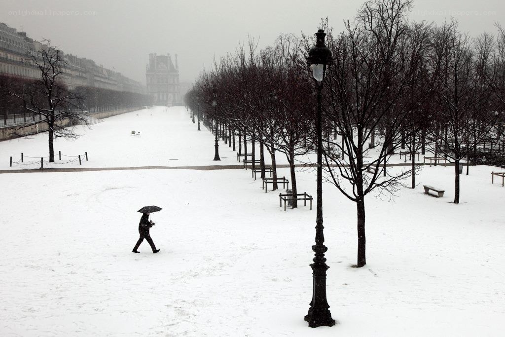 Person walking in snow with umbrella