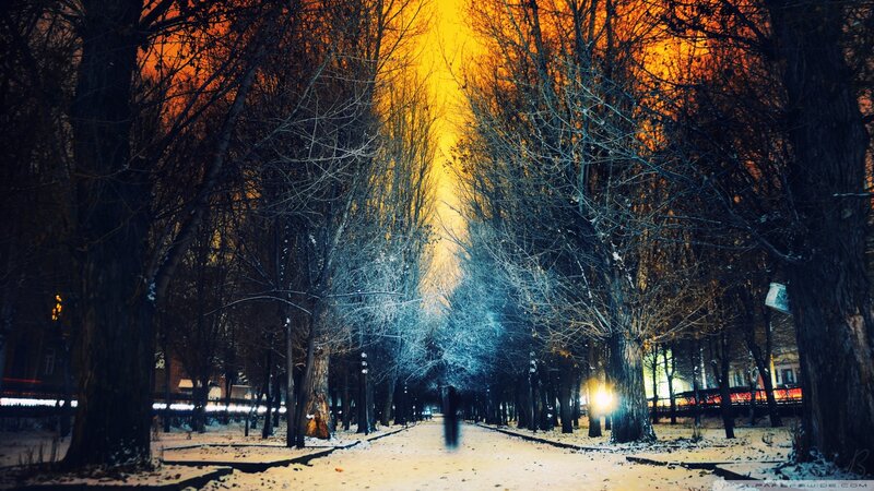 Person Walking in Snow — Yellow, Dramatic