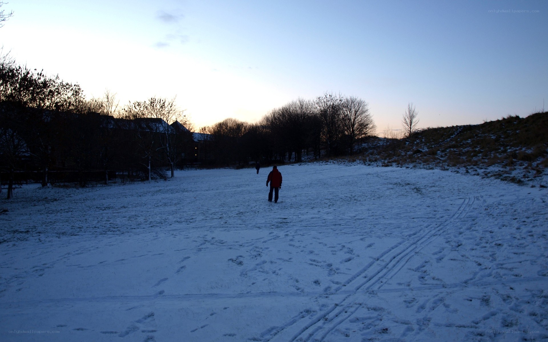 Person walking in snowy field