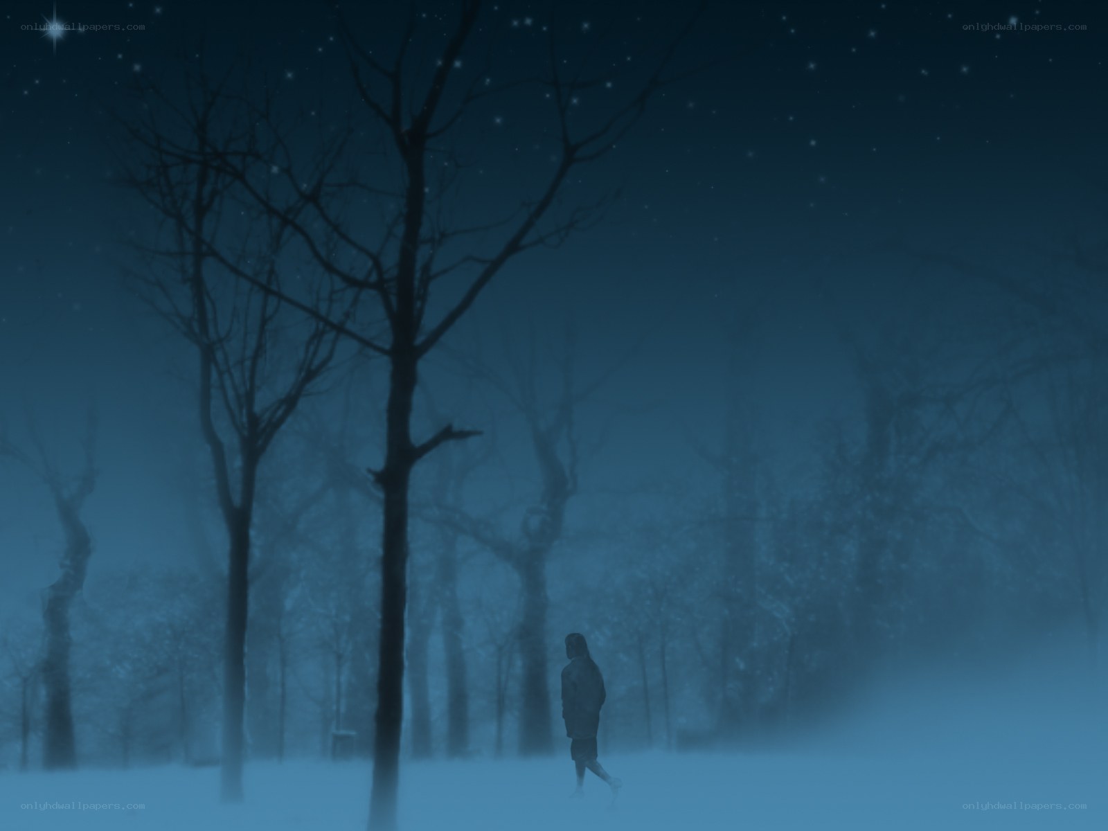 Person walking in snowy forest