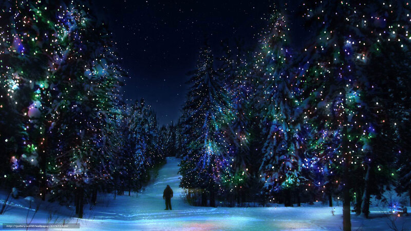 person walking in snowy forest