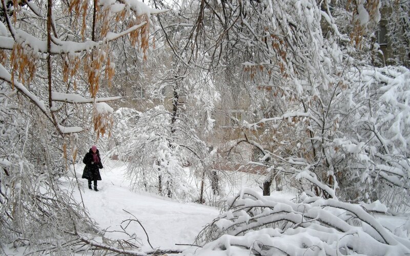 Person walking in snowy forest