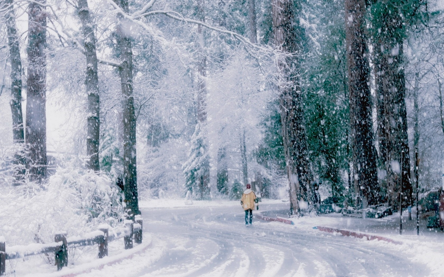 Person walking in snowy forest