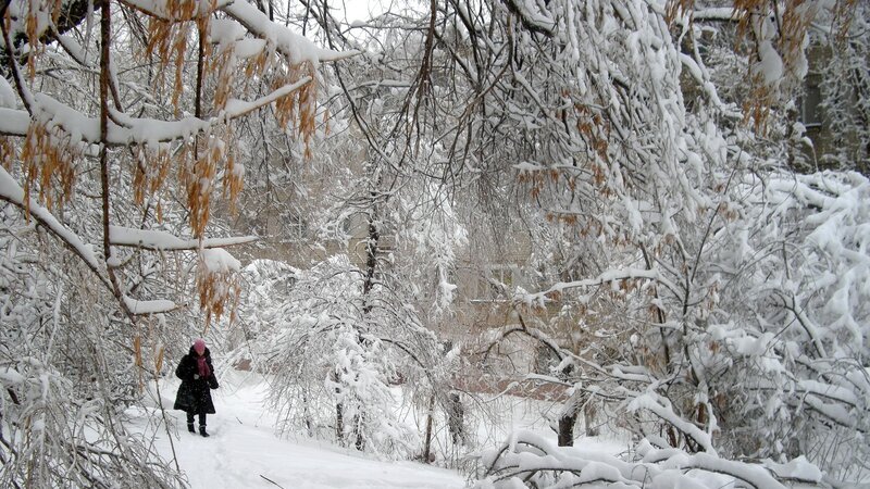 person walking in snowy park