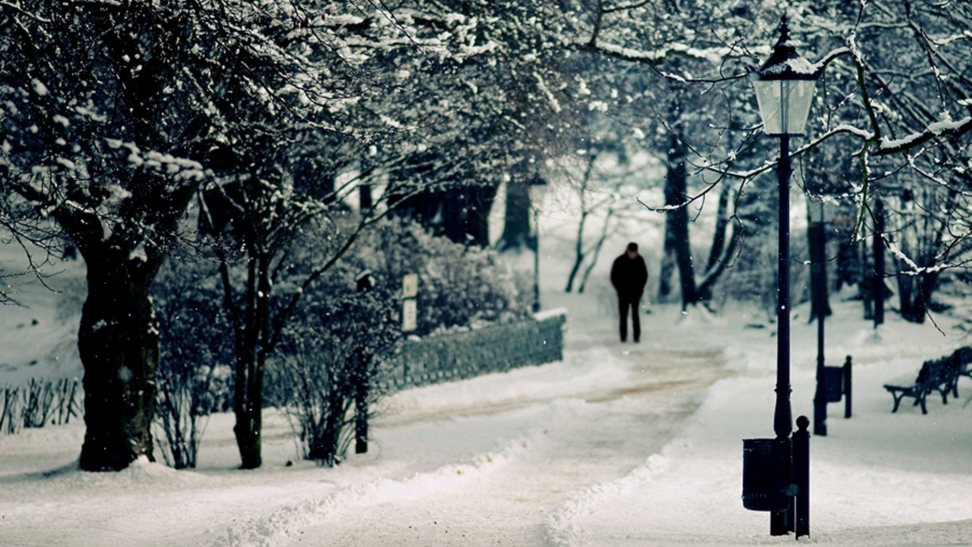 person walking in snowy park