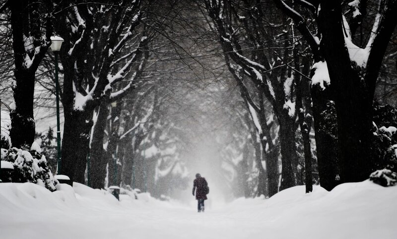 Person walking in snowy park