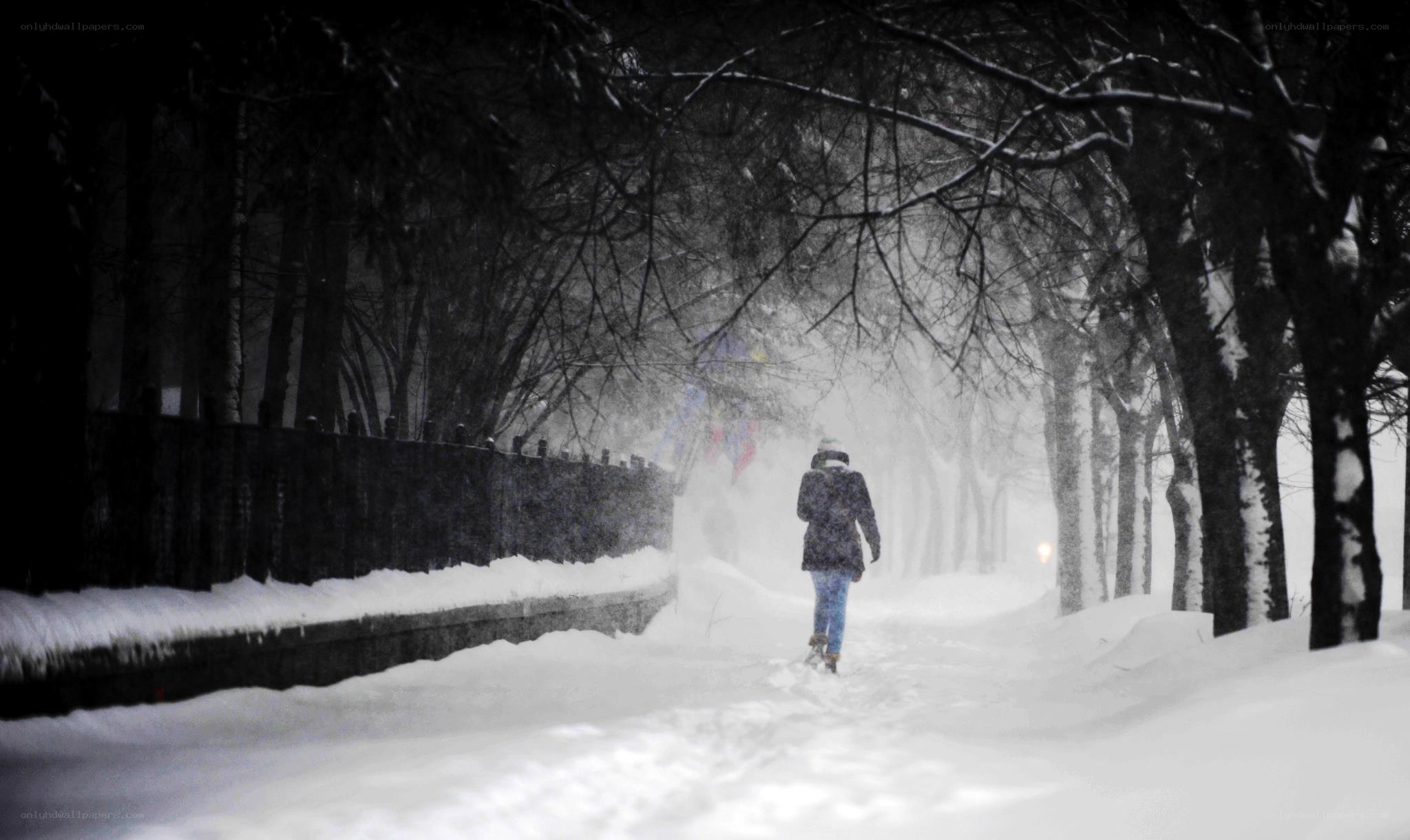 Person walking in snowy park
