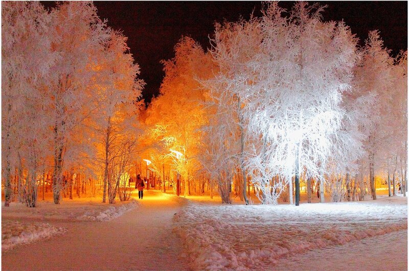 Person Walking in Winter Forest
