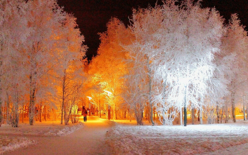 Person Walking in Winter Forest — White
