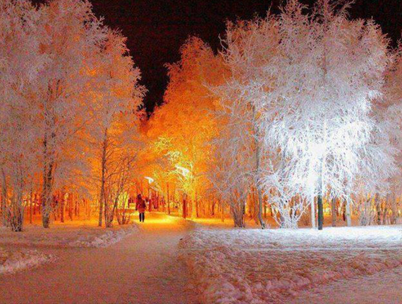 Person Walking in Winter — White, Serene
