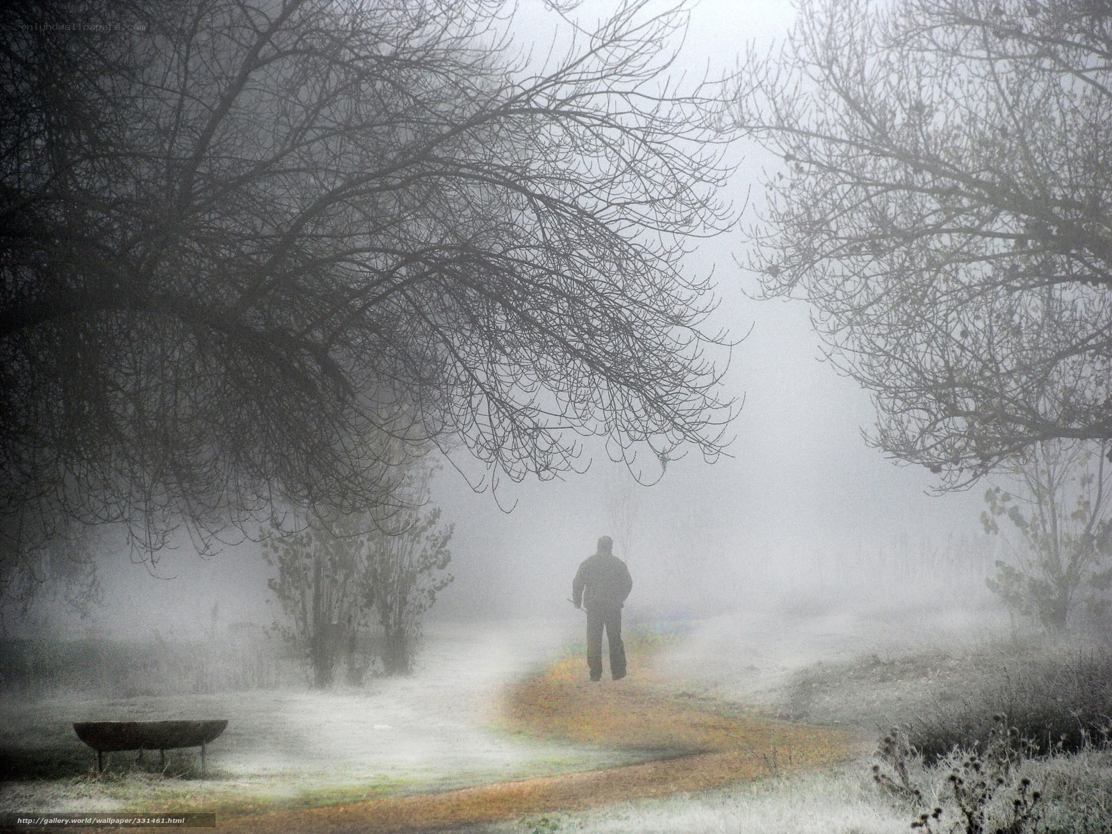 Person walking on a foggy path