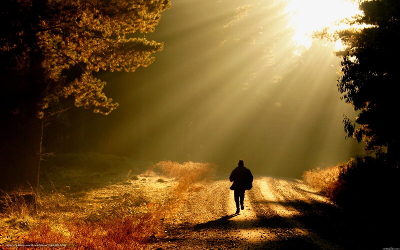 person walking on a forest path