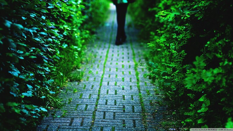 person walking on a green path