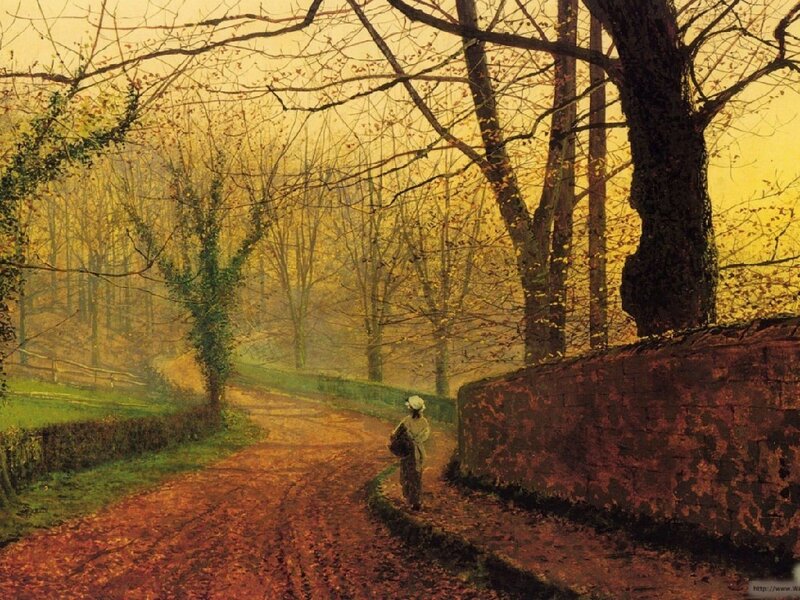 Person walking on a leaf-covered path