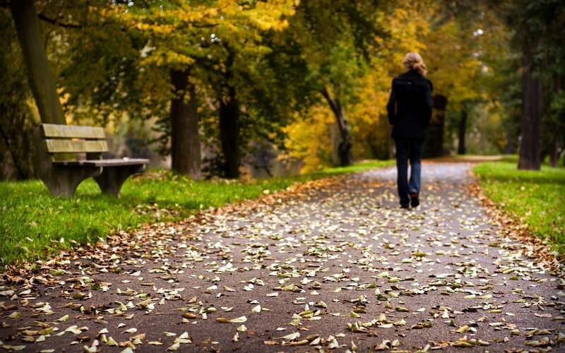 Person walking on a leaf-covered path
