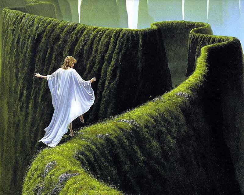 Person walking on a mossy path
