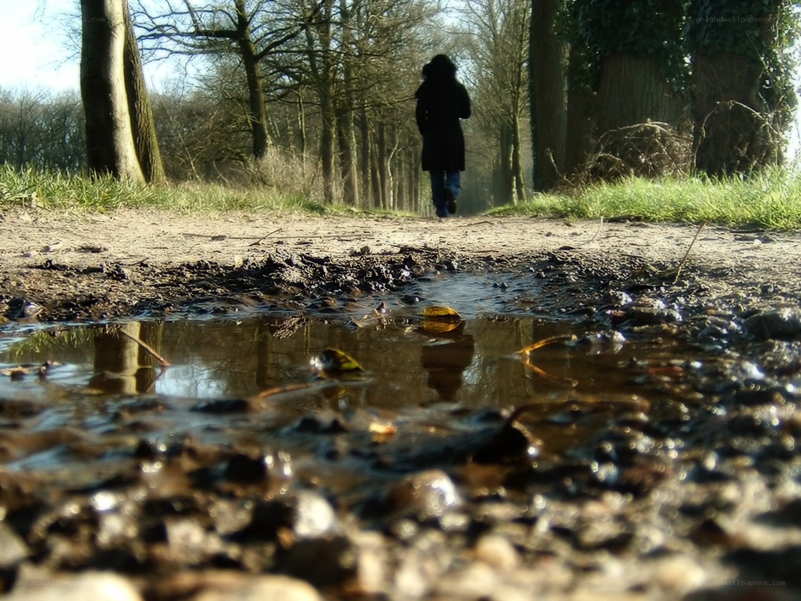 Person walking on a muddy path
