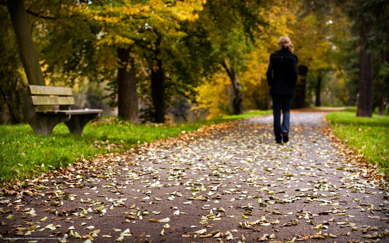 person walking on autumn path