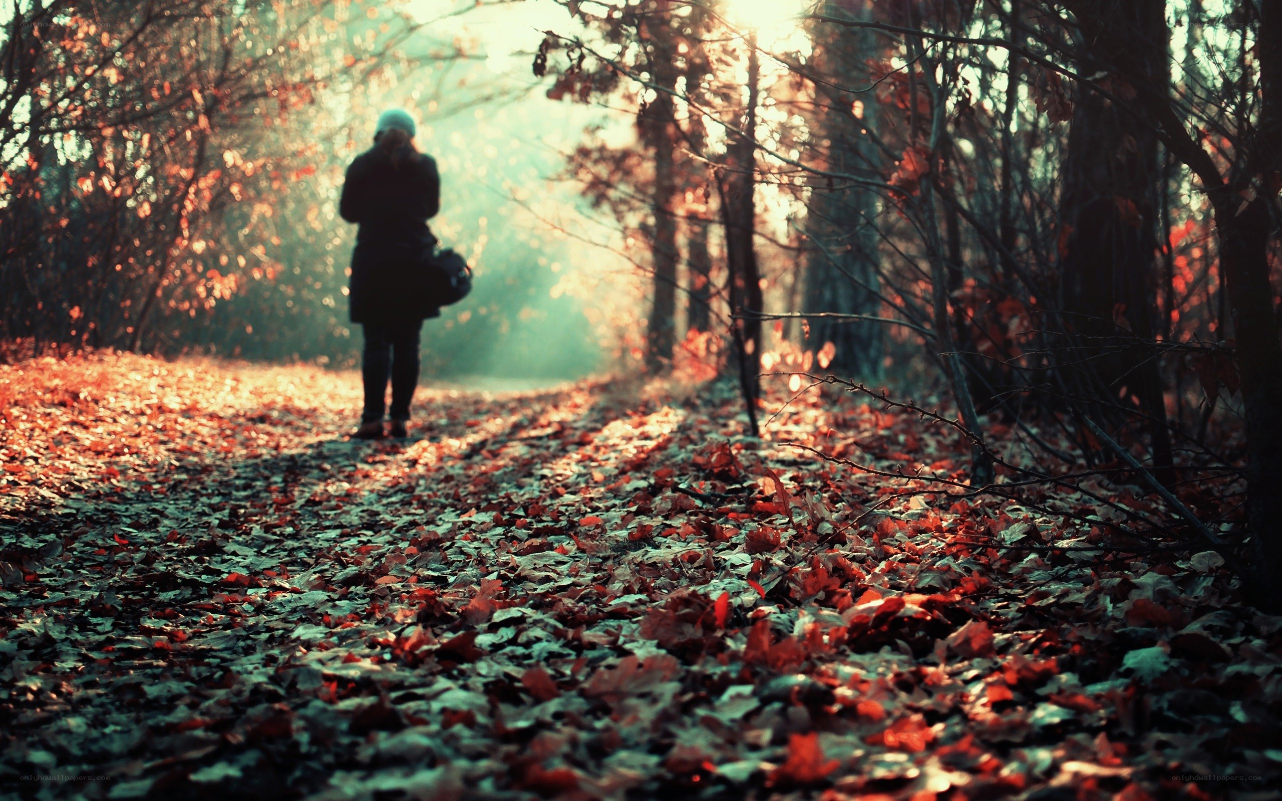 Person walking on autumn path