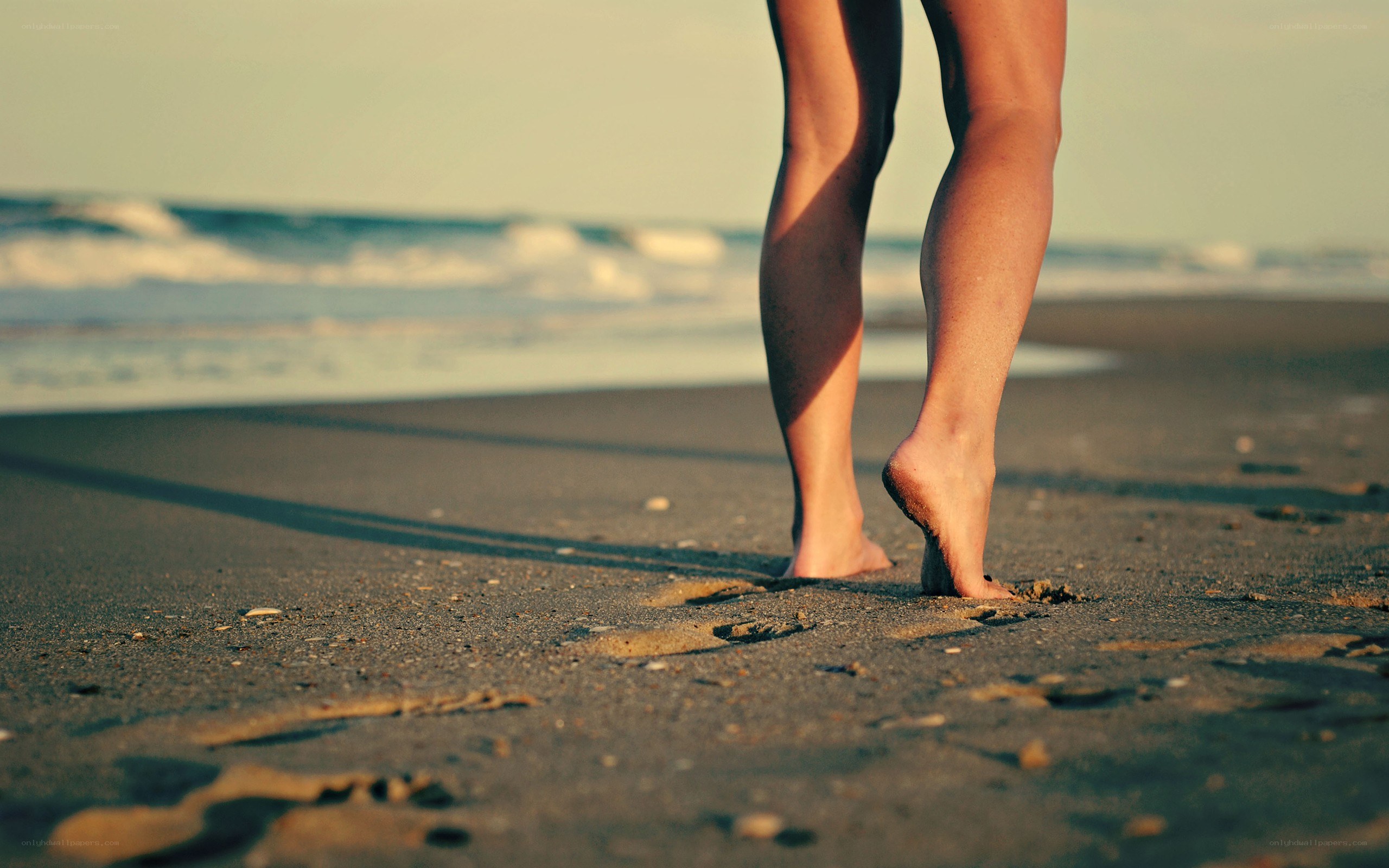 person walking on beach