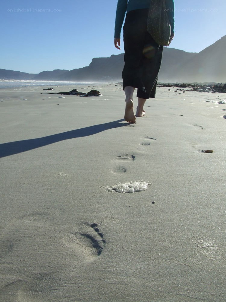 person walking on beach
