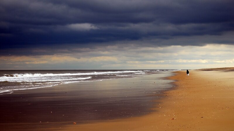 Person Walking on Beach — Brown, Dramatic, Photograph