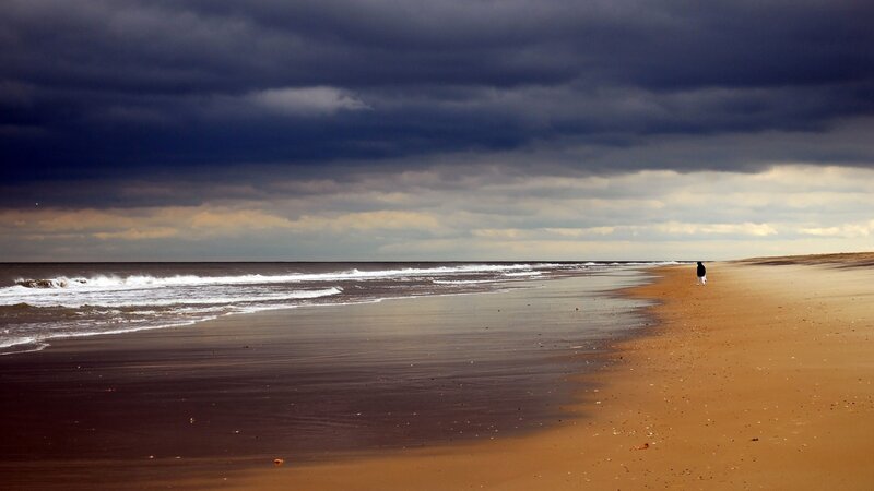 Person Walking on Beach — Brown, Dramatic