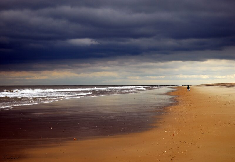 Person walking on beach under stormy sky