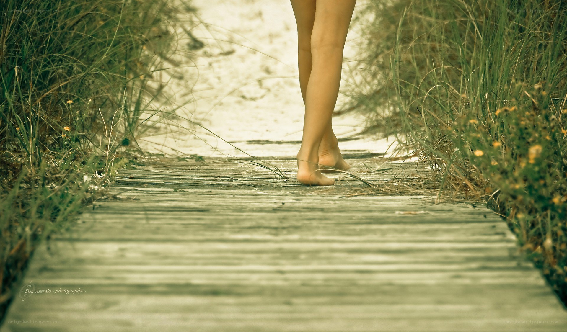 person walking on boardwalk