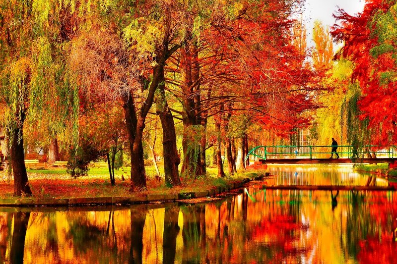 Person Walking on Bridge — Red, Serene