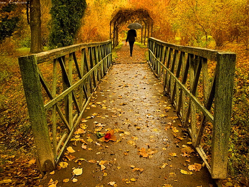 Person Walking on Bridge — Yellow