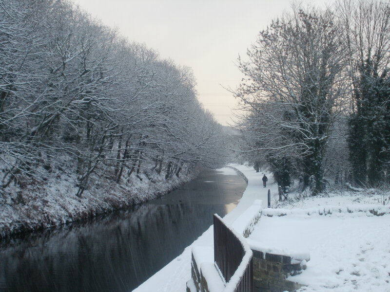 Person Walking on Canal Path