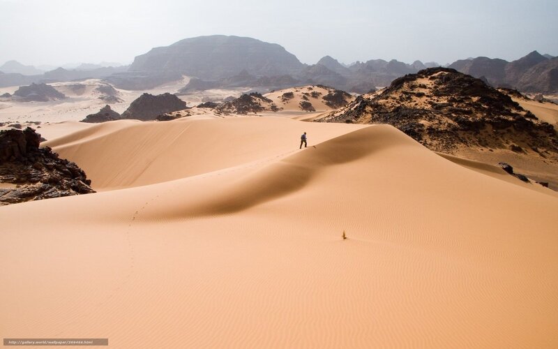 Person Walking on Dunes — Orange
