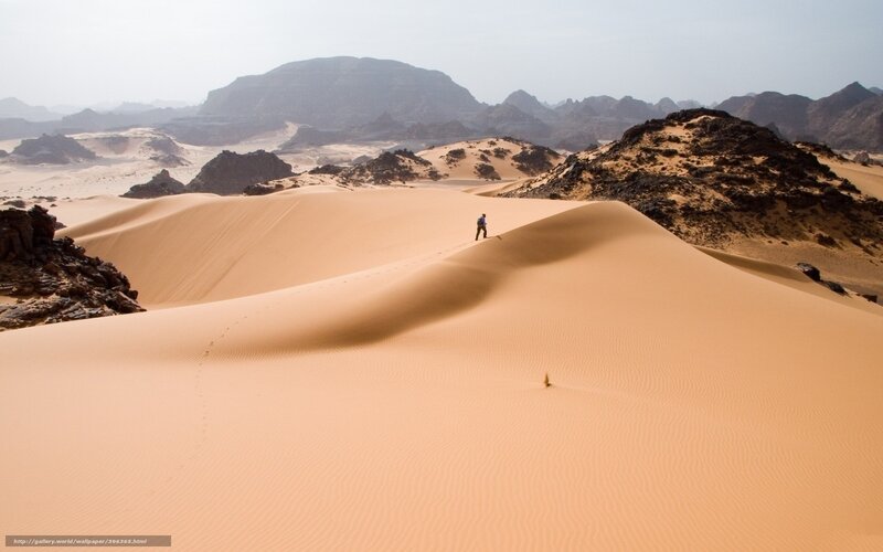 Person Walking on Dunes