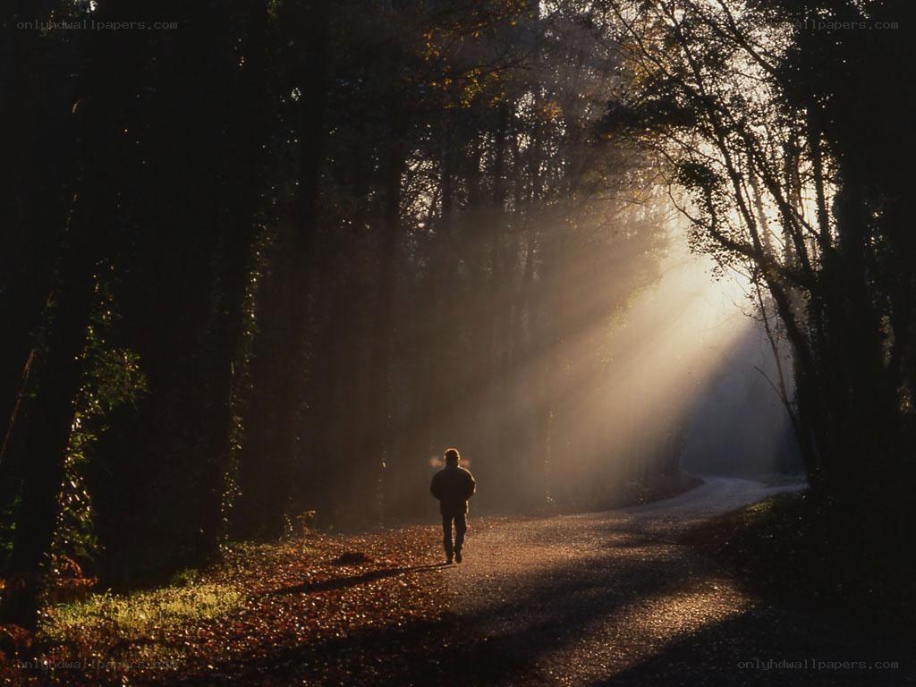 Person walking on forest path