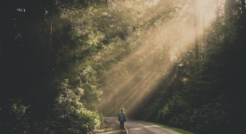 Person Walking on Forest Path — Green, Serene, Morning