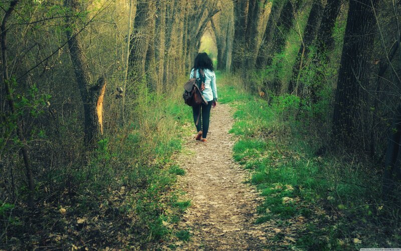 Person Walking on Forest Path — Green, Serene, Spring