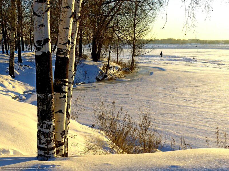 Person Walking on Ice — White, Serene