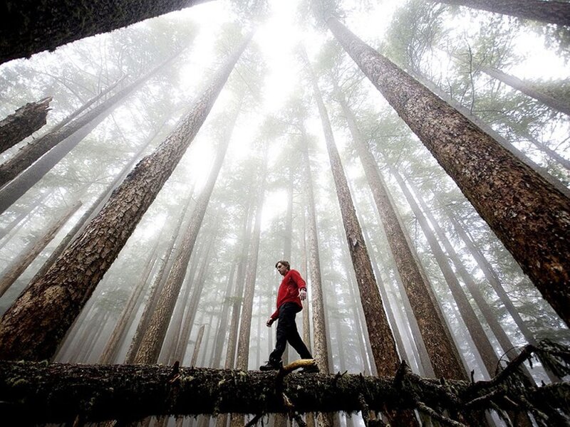 Person Walking on Log