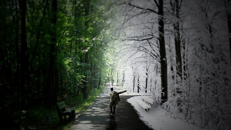 person walking on path between seasons
