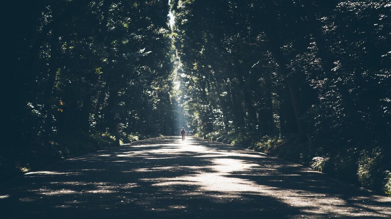 Person Walking on Path — Black, Serene, Morning