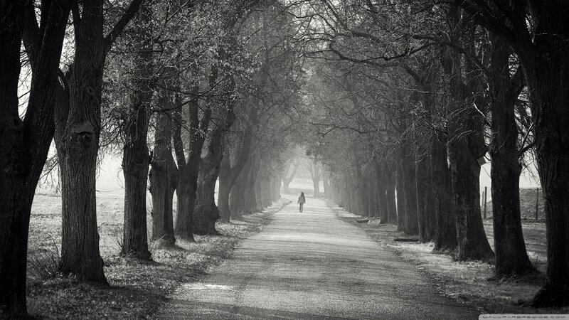 Person Walking on Path — Black, Serene