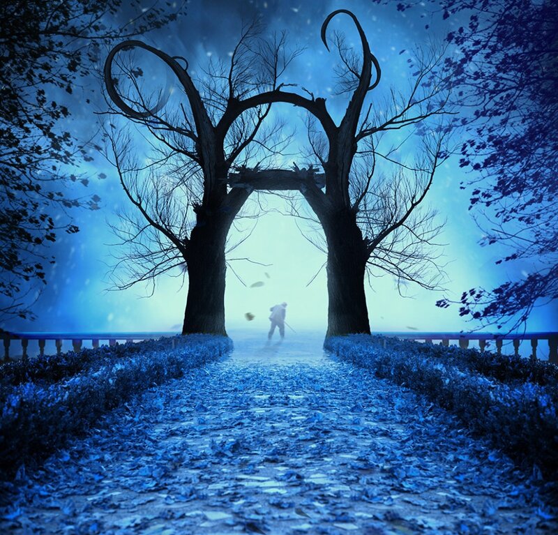 Person Walking on Path — Blue, Mysterious, Night