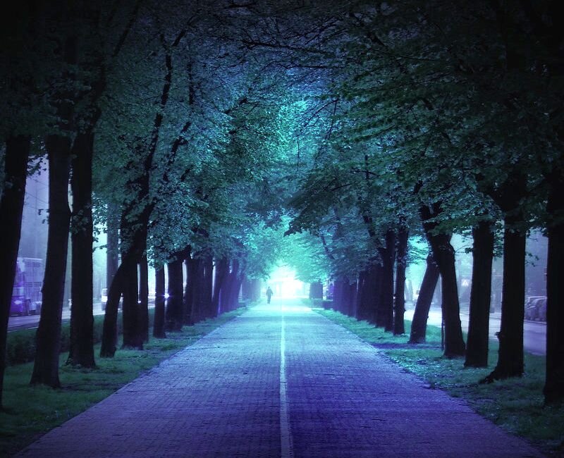 Person Walking on Path — Blue, Mysterious