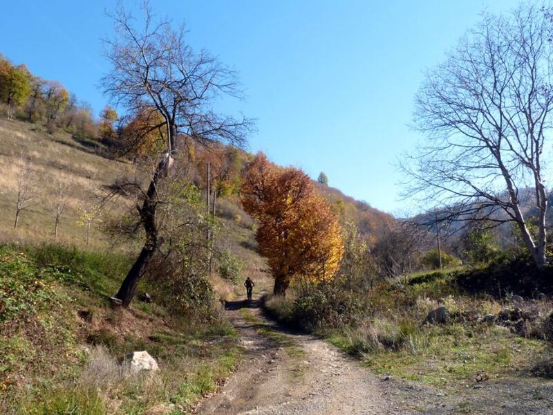 Person Walking on Path — Blue, Serene